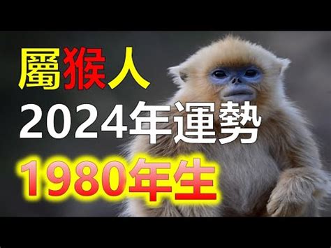 1980猴五行缺什麼|80年次命運大揭秘